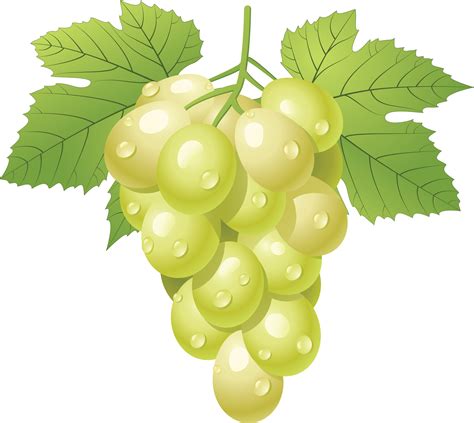 grapes images hd|free printable picture of grapes.